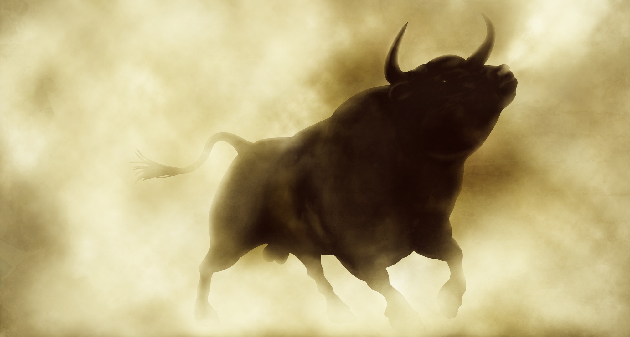 bull_large.jpg